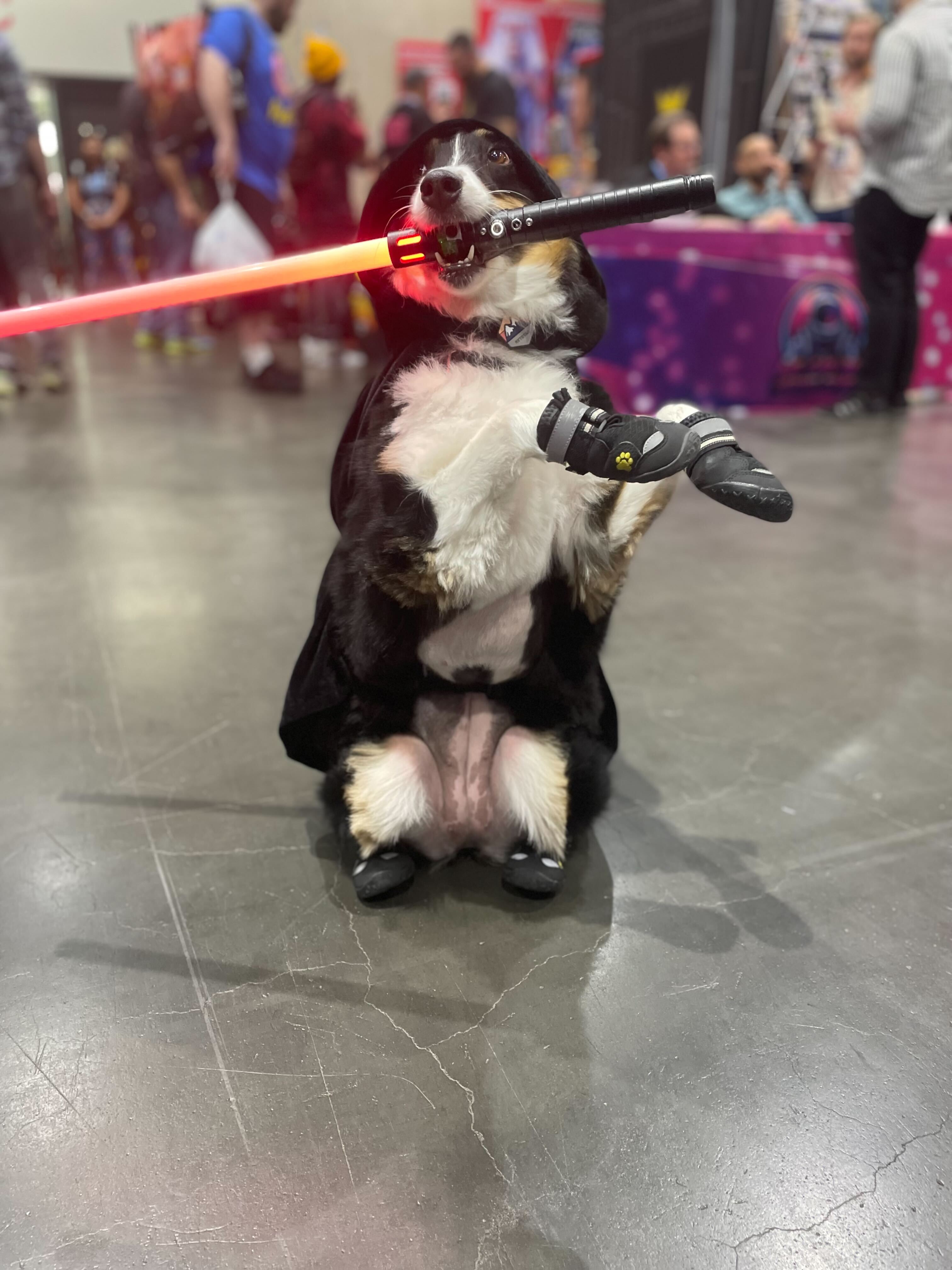 SDCC 2023 Cosplay Roundup 07.21.23 Batch 2