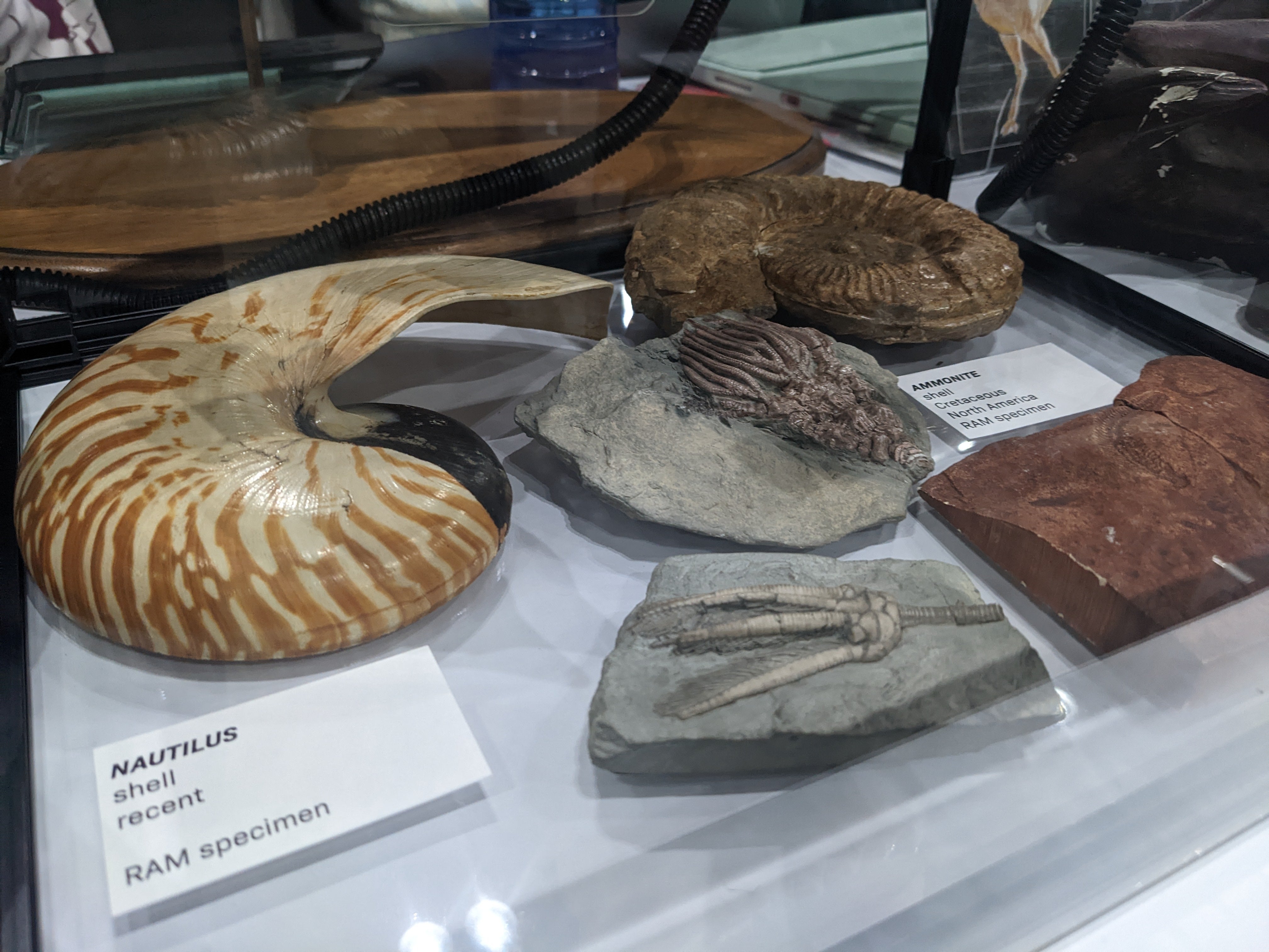 Photograph of display for Cosplay for Science